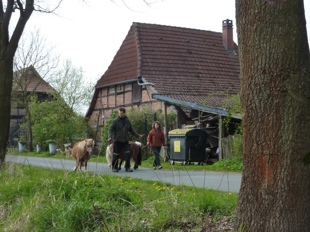 Auf dem Weg zum Sommerquartier