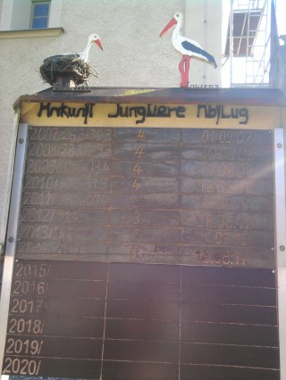 04-05; Elbe; Frohse; Storchentagebuch