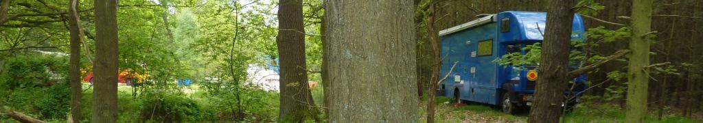 05-16; BigBlue im Wendland im Wald