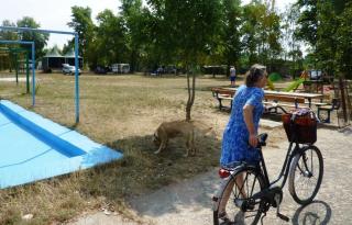 08-05; Lovosice; Campingplatz 02