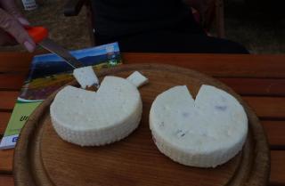 08-20; Prosence; Ziegenkäse