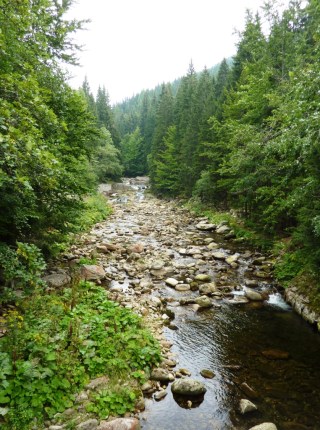 08-23; Labe bei Spindleruv 04