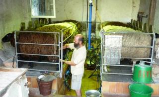 08-27; Leippe, Schäferei; Melkstand