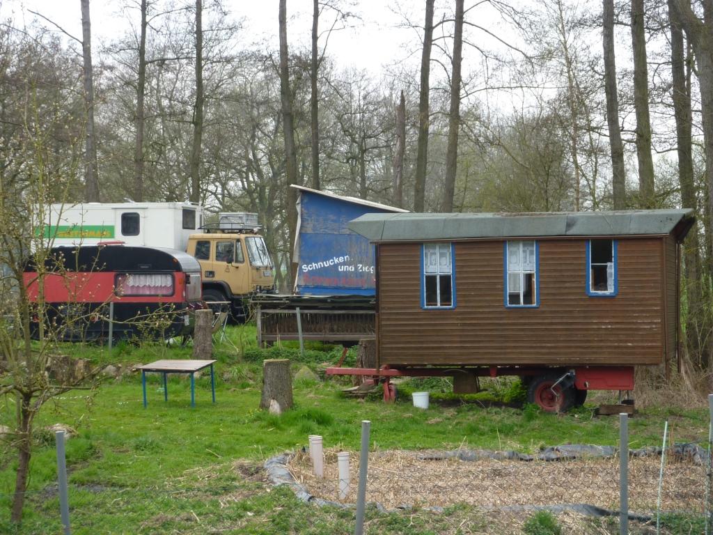 Die Wüstenmaus und das Muggelchen ...