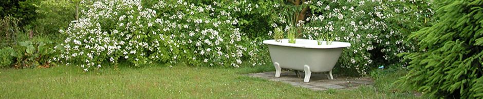 2016-06-01; Dorfcafe Hösseringen Mila Schrader