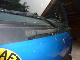 Spinnen erobern ihre Welt