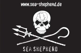 Sea - Shepherd