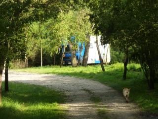 Stellplatz am Wegesrand unter Mirabellen