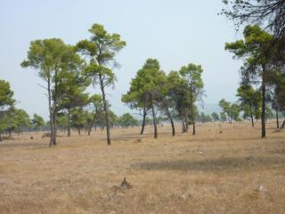 2016-08-31; Auf dem Weg