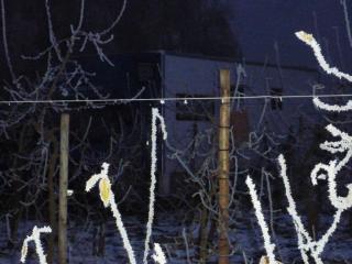 Hinter Eiskristallen