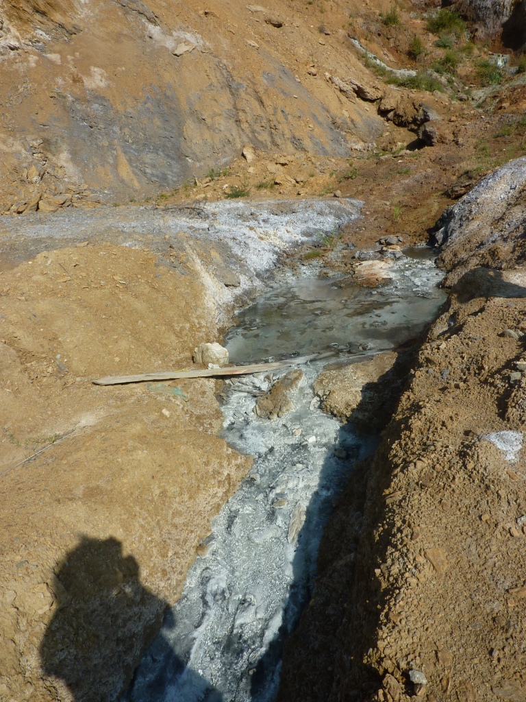 Und immer wieder Müll