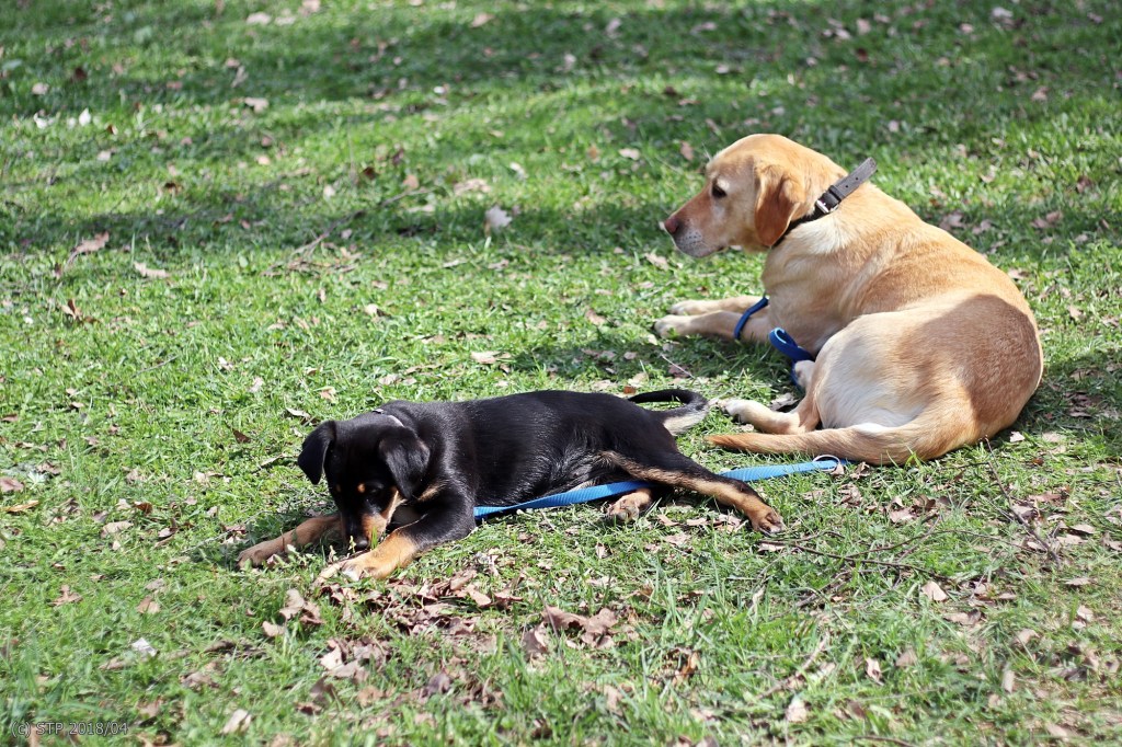 Die muss doch durchzubeißen sein