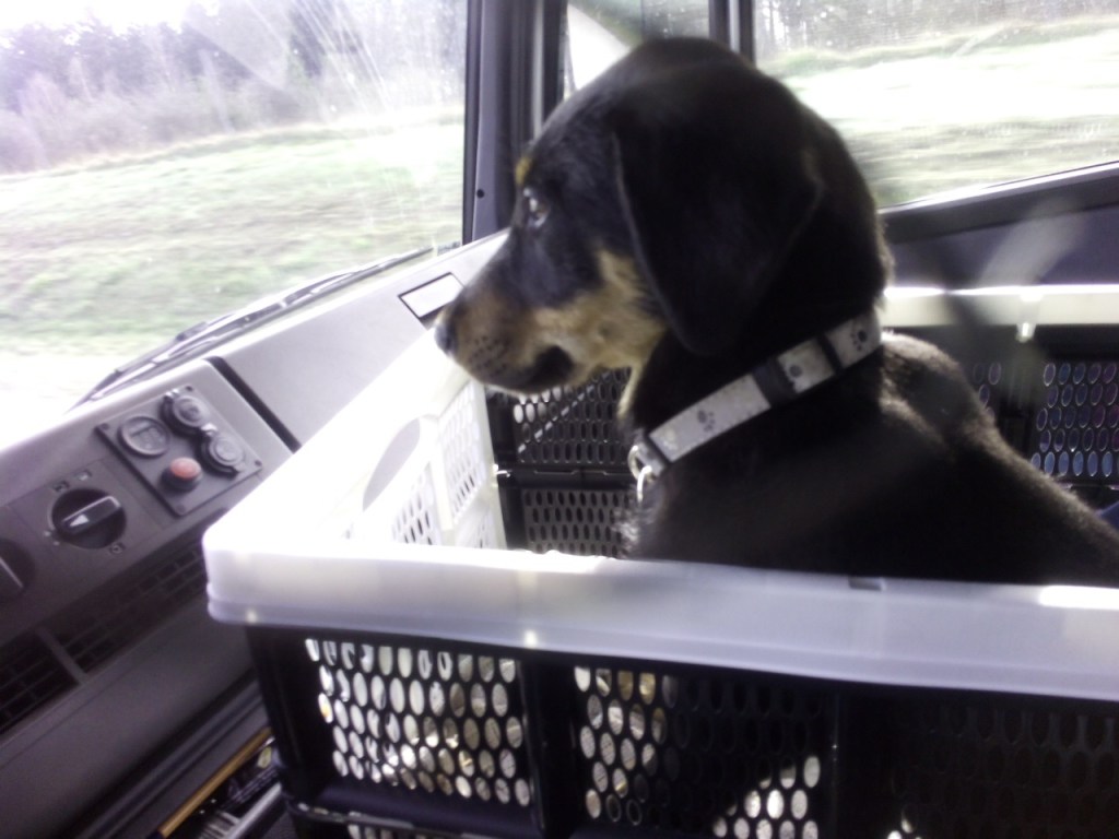 Ich nehme jetzt mal die Fahrprüfung ab