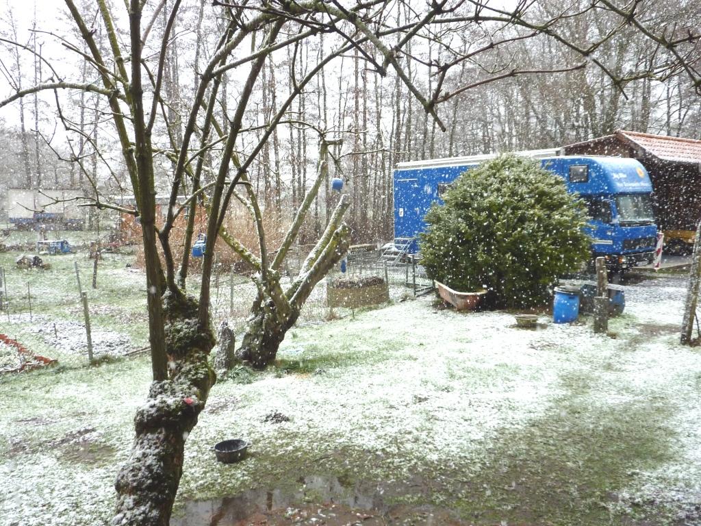 Schnee im März