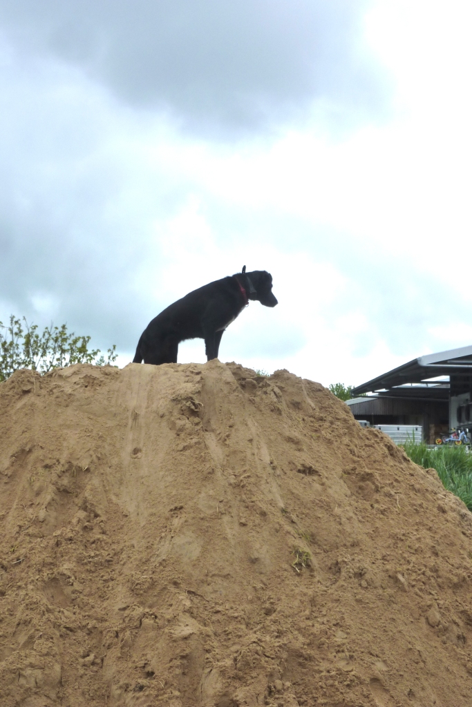 Überblick verschaffen
