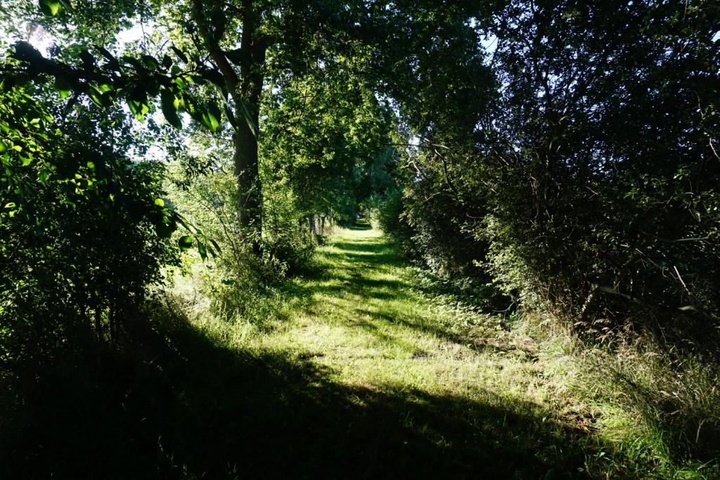 Durch diese hohle Gasse kannst du gehen!
