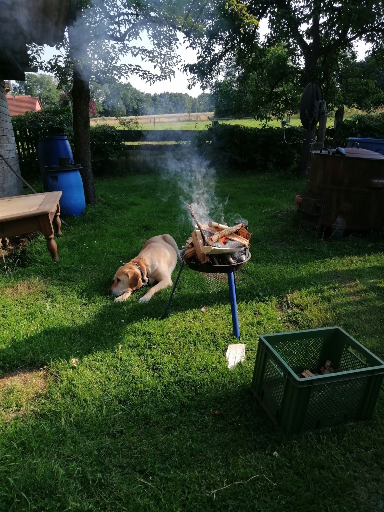 Das Warten wird umsonst sein