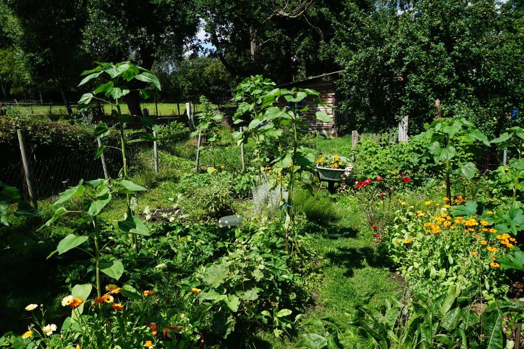 Nicht nur bunt, auch lecker