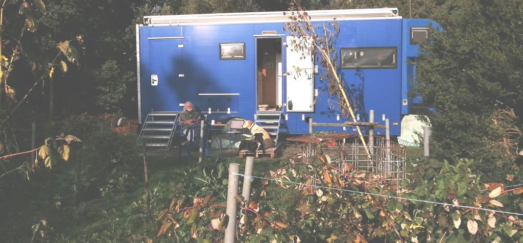 Herbst in den Himbeeren