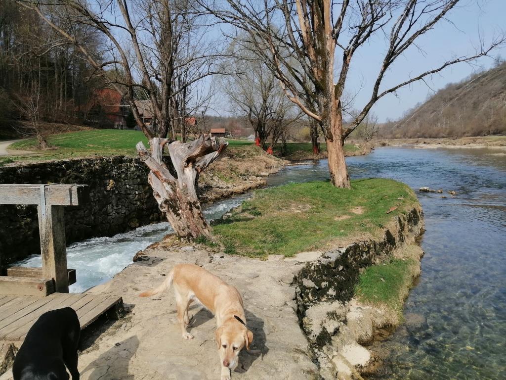 Hier stand mal ein Mühlrad