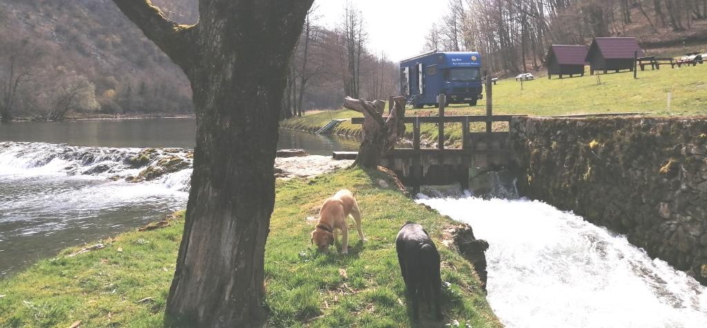 Das Rauschen erfüllt den ganzen Platz