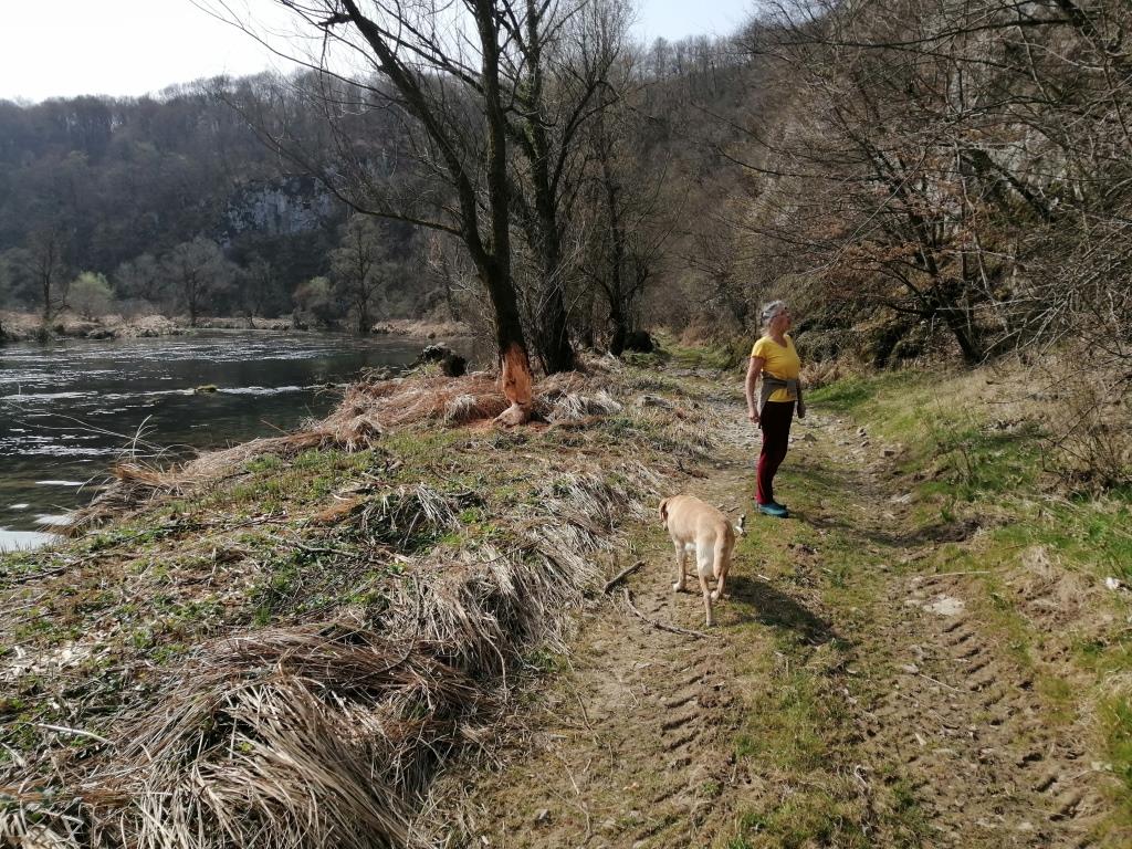 Hier geht es endloch am Fluss lang