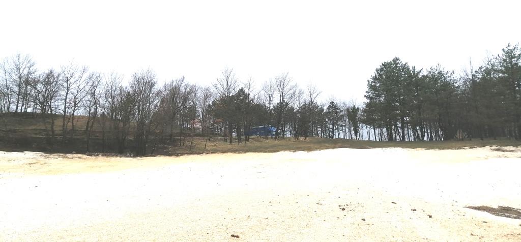 Weißer Strand auf Pinienwald