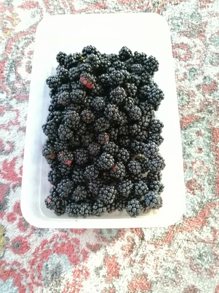 Das reicht für zwei Müslies