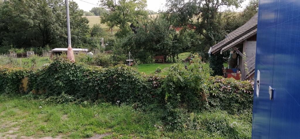 Selbstversorgergarten