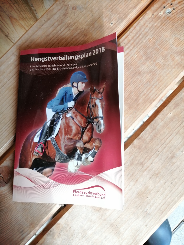 Und soetwas liegt in der Bushaltestelle