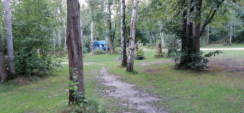 Und das am Stadtrand (!) von Görlitz