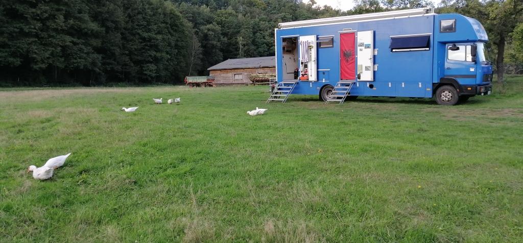 Als erstes begrüßen mich nicht die Ziegen