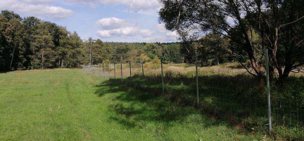 Keine Mauer mehr, sondern ein Zaun