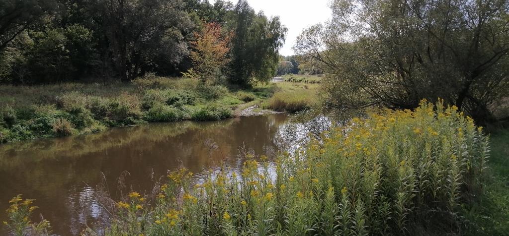 Die Neiße, einfach nur schön