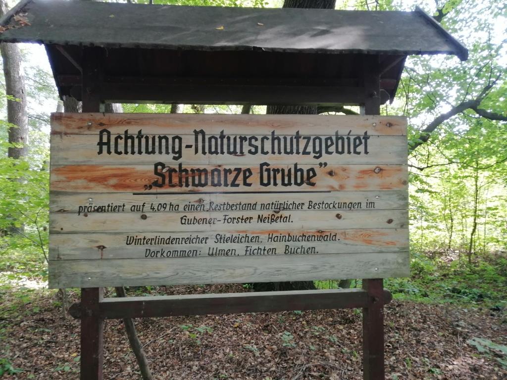 Hier wurde in Vorzeiten Teer abgebaut