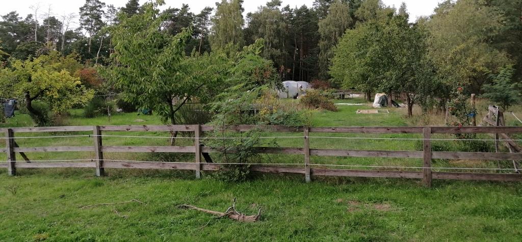 Der Selbstversorger Garten in Bio-Qualität