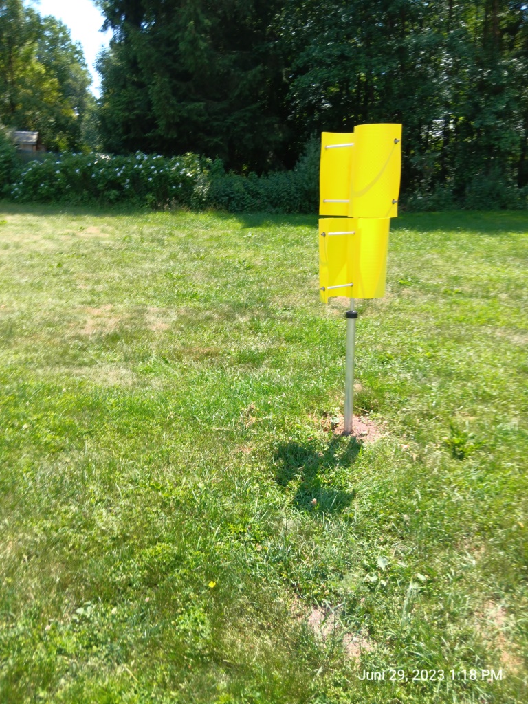 Was gegen Wühlmäuse