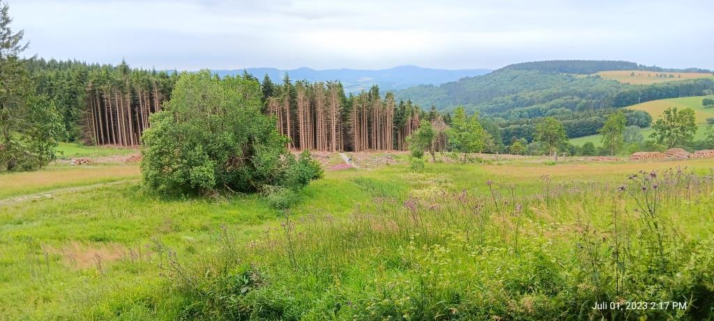 Und hier versickert die Fulda auch gleich wieder