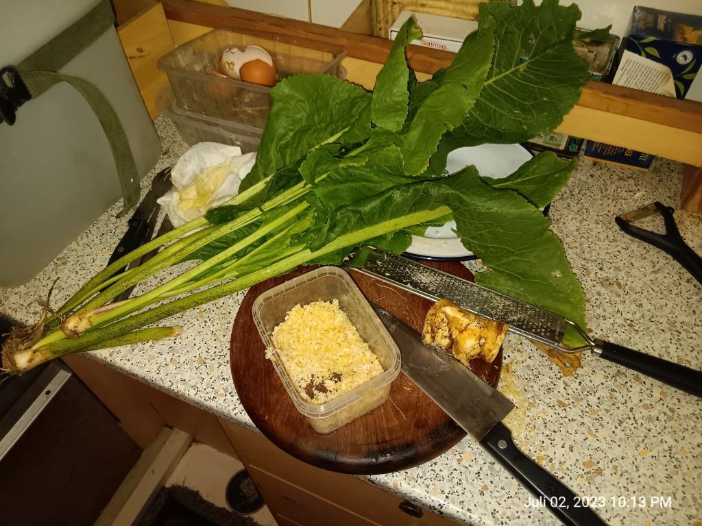 Ich habe wilden Meerretich gefunden