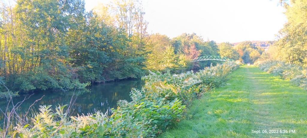 Die Ruhr - weitgehend naturbelassen