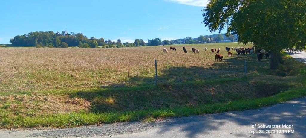Ländliches Ambiente