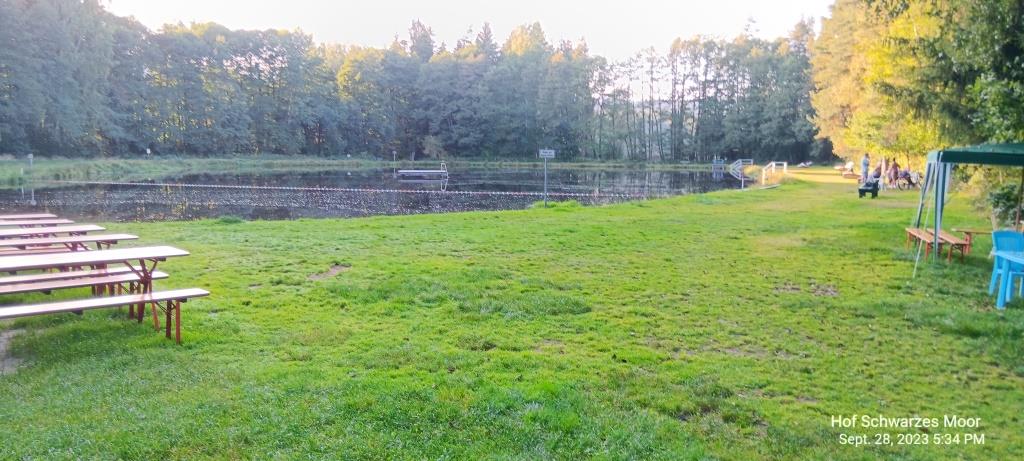 Ein echt schöner Waldsee
