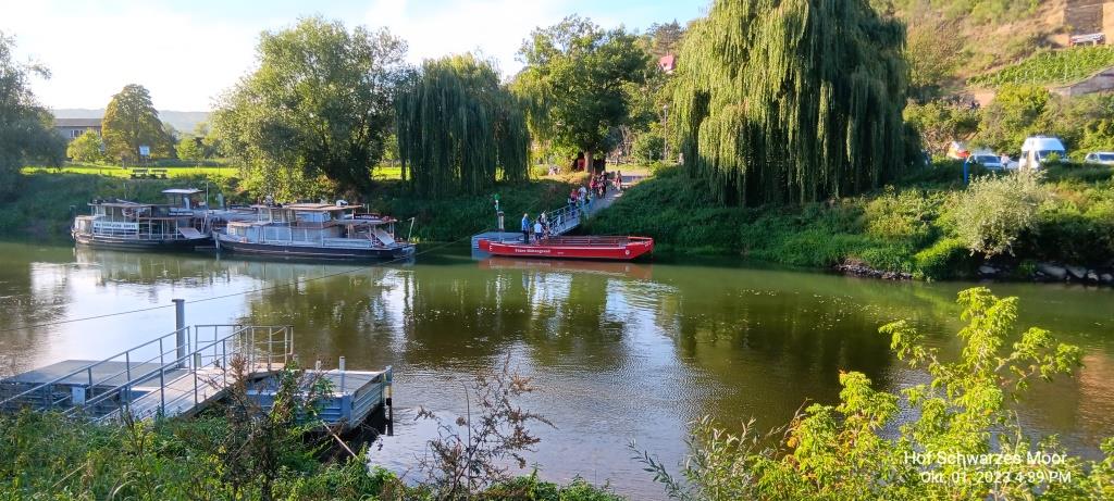 Hier geht's rüber zum Weinberg