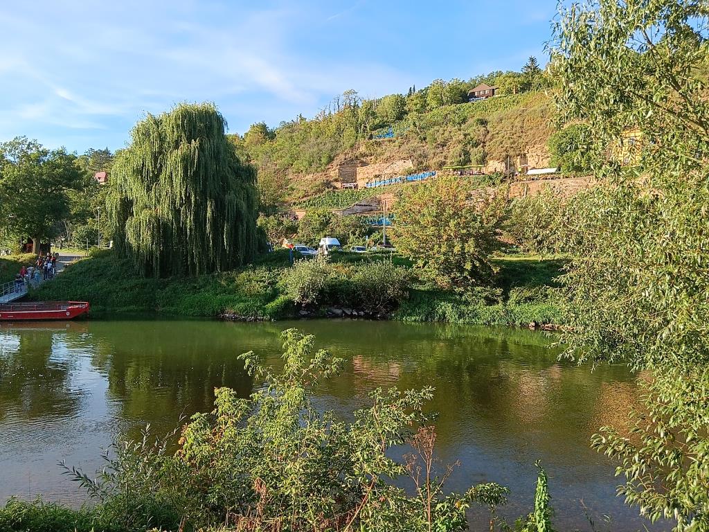 Hier ist der Winzer noch kleinteilig unterwegs