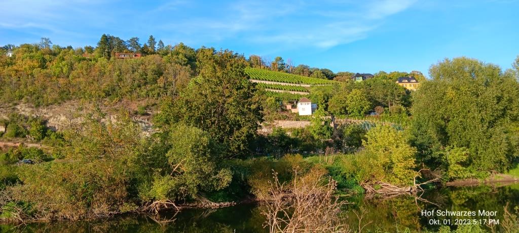 Wirklich schön hier an der Saale