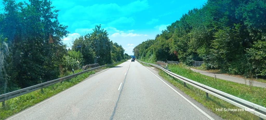 Die Straßen sind mit Bewuchs eingerahmt