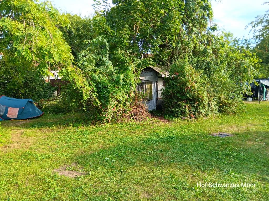 Der steht schon länger - aber malerisch