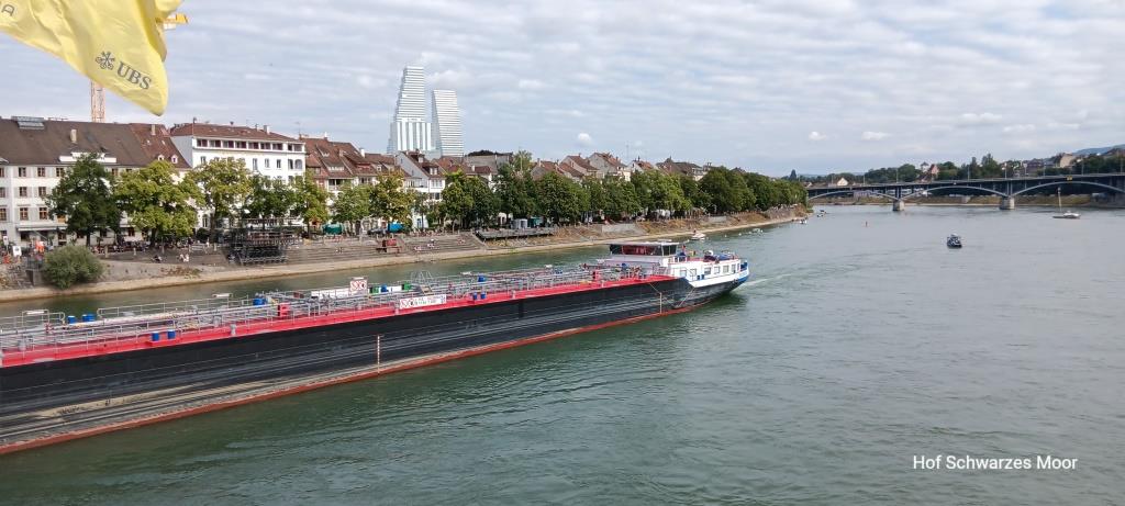 So große Schiffe gibt es hier schon