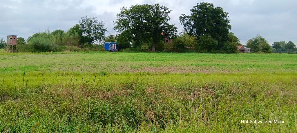 Am Rande der Zivilisation