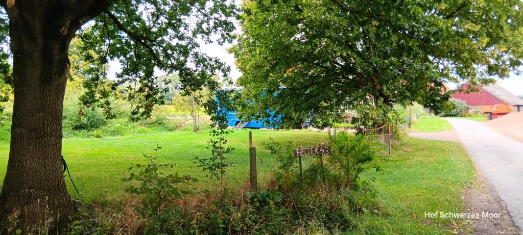 Am Rand der Obstbaumwiese